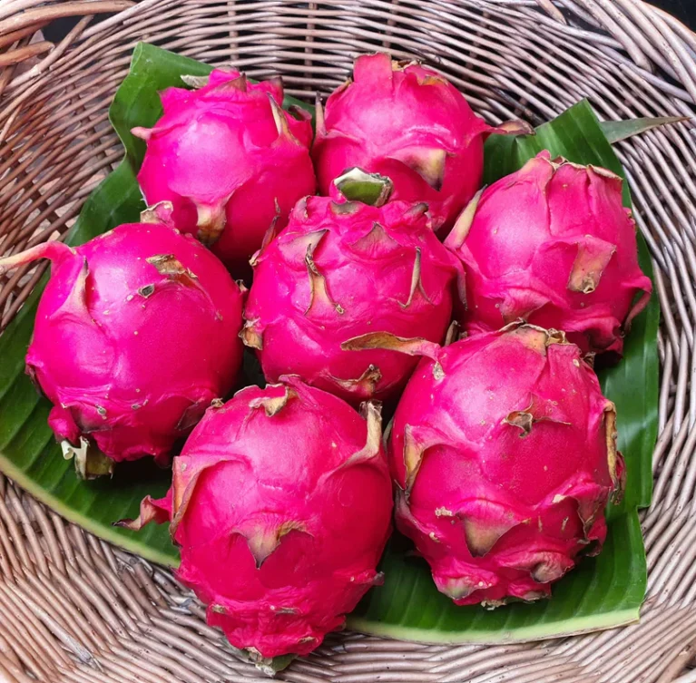 We grow fresh, organic produce using clean methods that protect nature, healthy food.