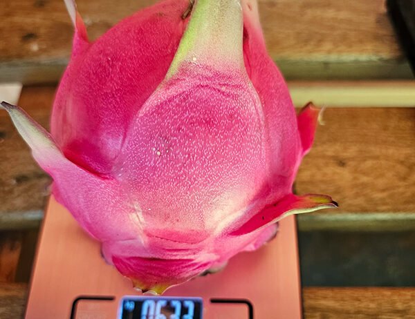 We grow fresh, organic produce using clean methods that protect nature, healthy food.