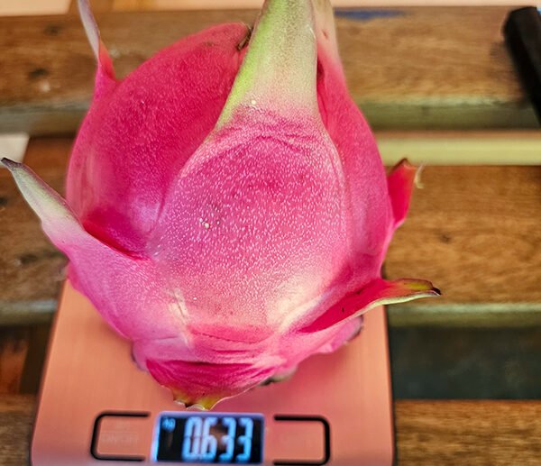 We grow fresh, organic produce using clean methods that protect nature, healthy food.